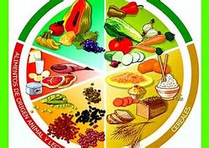 ALIMENTOS