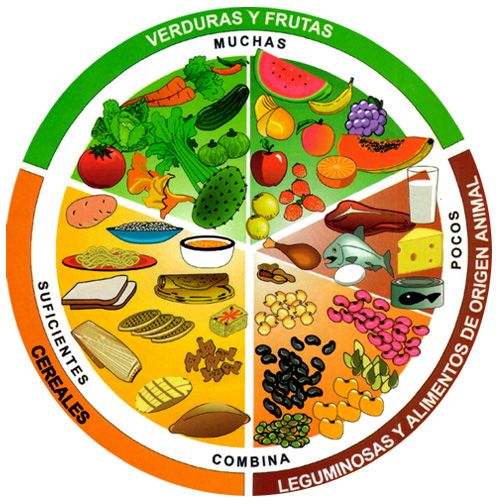 alimentacion