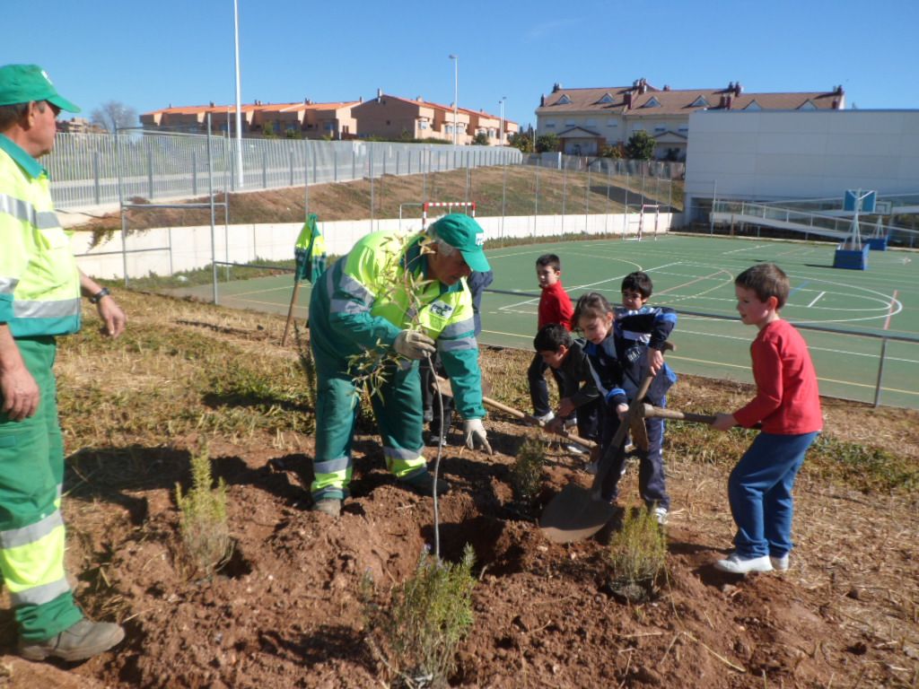1º primaria 6