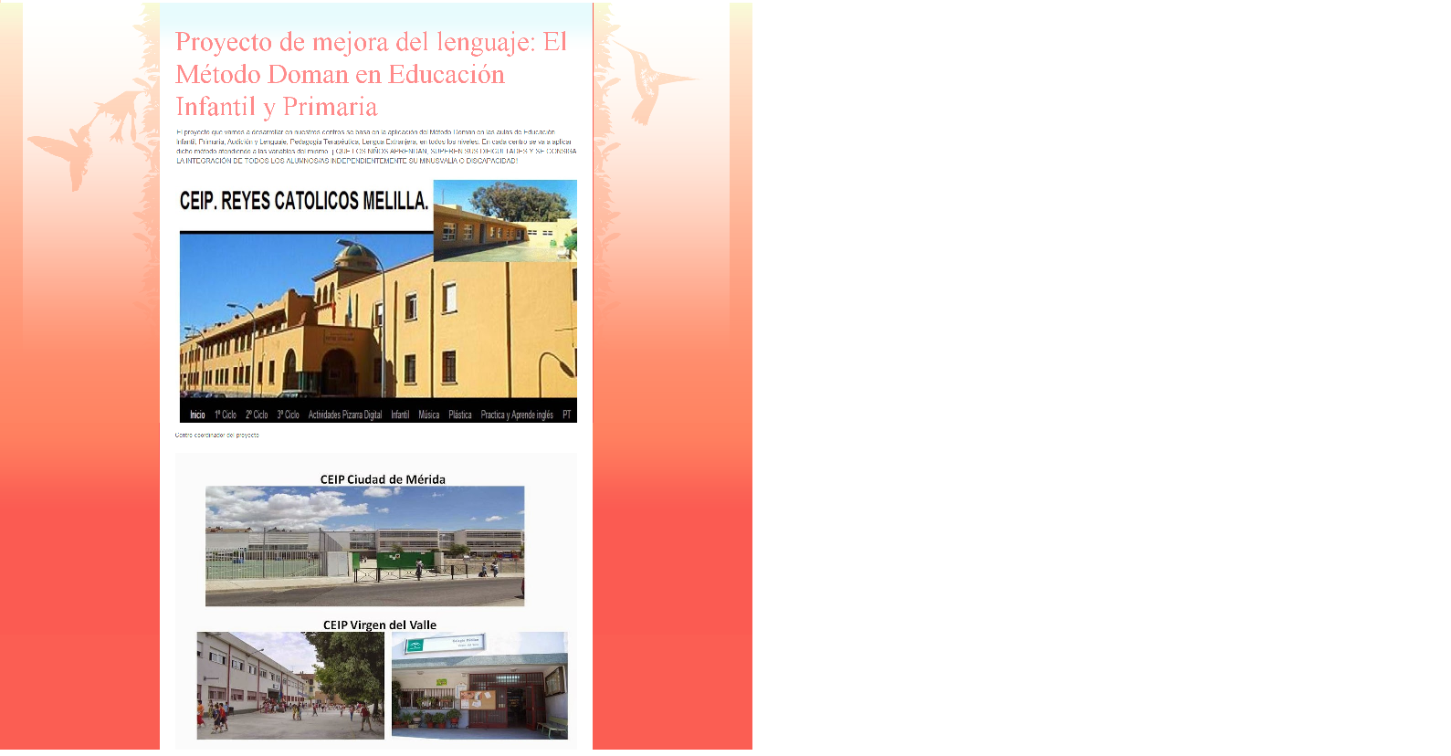 imagen blog 2